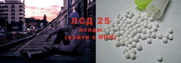 прущая мука Вяземский