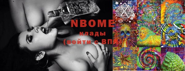 прущая мука Вяземский