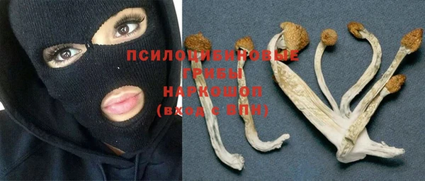 прущая мука Вязники