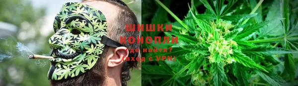 прущая мука Вяземский