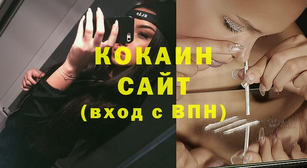 прущая мука Вяземский